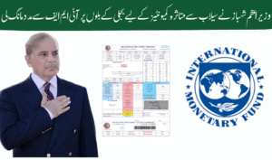 PM Shehbaz Seeks IMF Support for Flood-Hit Communities on Electricity Bills