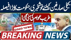 Electricity Full Bill Relief Announced for August–September – Check Eligible Areas & Updates